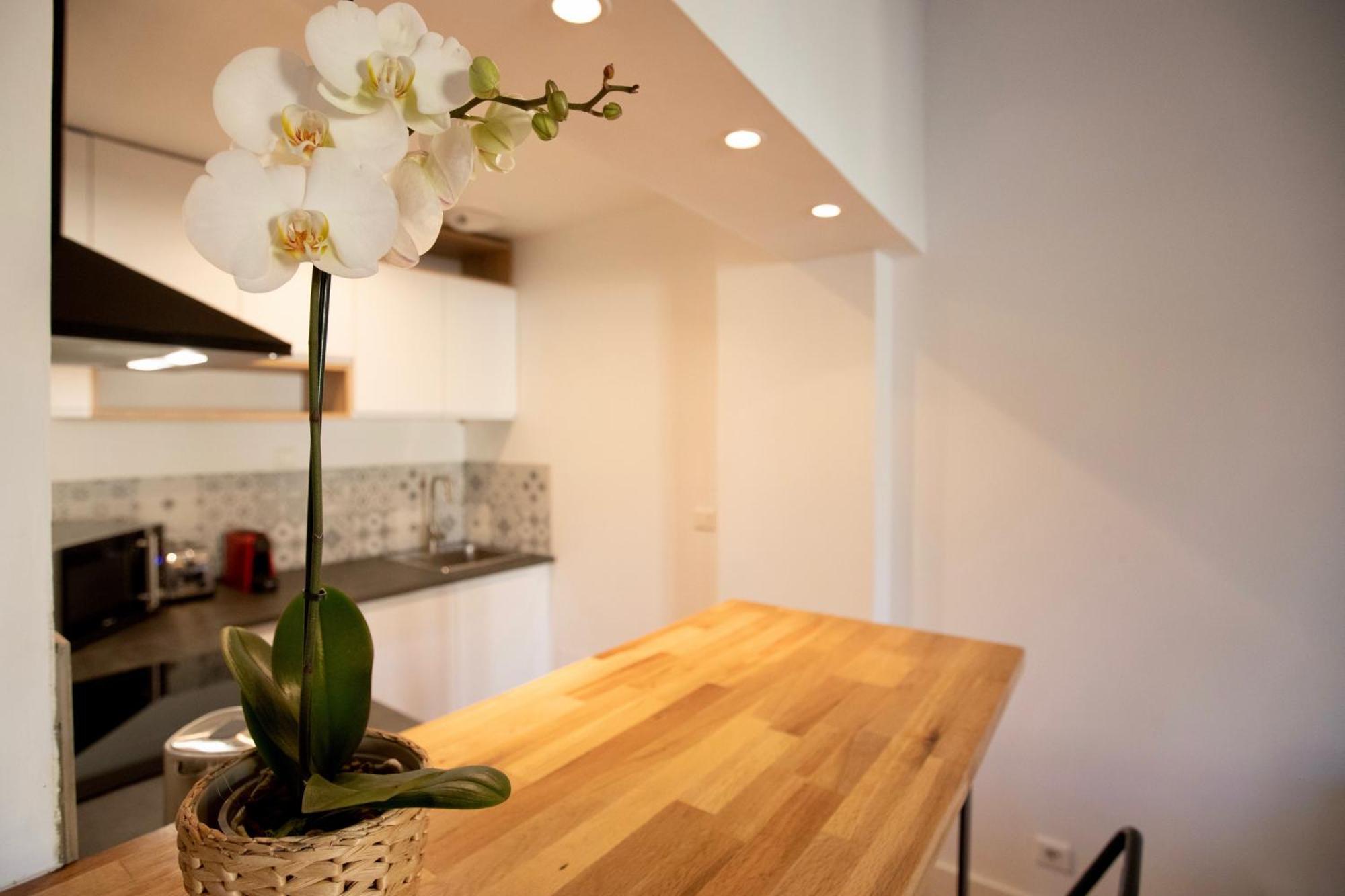 Home Chic Home - Les Toits De Sainte-Ursule Montpellier Kültér fotó